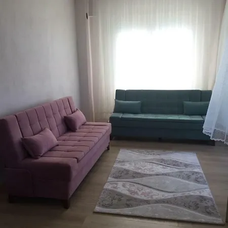 Daire Suzan House